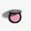 PERFECT WONDER BLUSH
